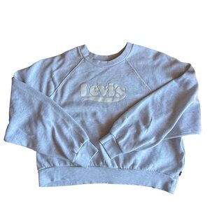 Levi’s Raglan Graphic Sweatshirt